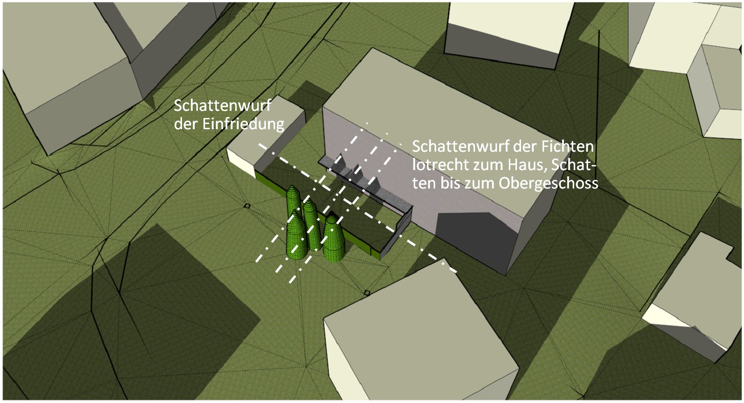 Fichten Modell01